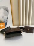 Louis Vuitton Bag MULTI FELICIE M80091
