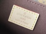 Louis Vuitton Bag   East West Métis M46279