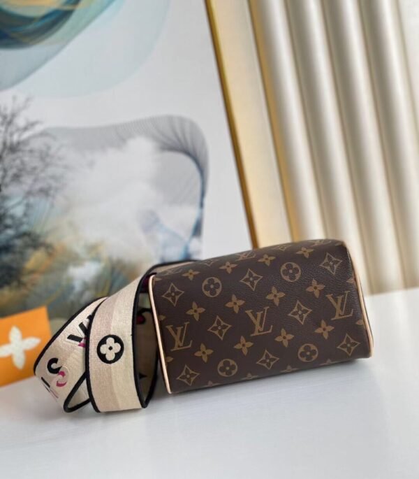 Louis Vuitton Bag SPEEDY M45957