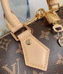 Louis Vuitton Bag SPEEDY M45957