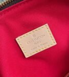 Louis Vuitton Bag SPEEDY M45957