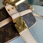 Louis Vuitton Bag Petite Boite Chapeau M43514