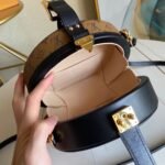 Louis Vuitton Bag Petite Boite Chapeau M43510