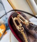 Louis Vuitton Bag Favorite  M41276