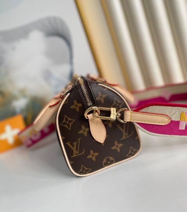 Louis Vuitton Bag SPEEDY M45948