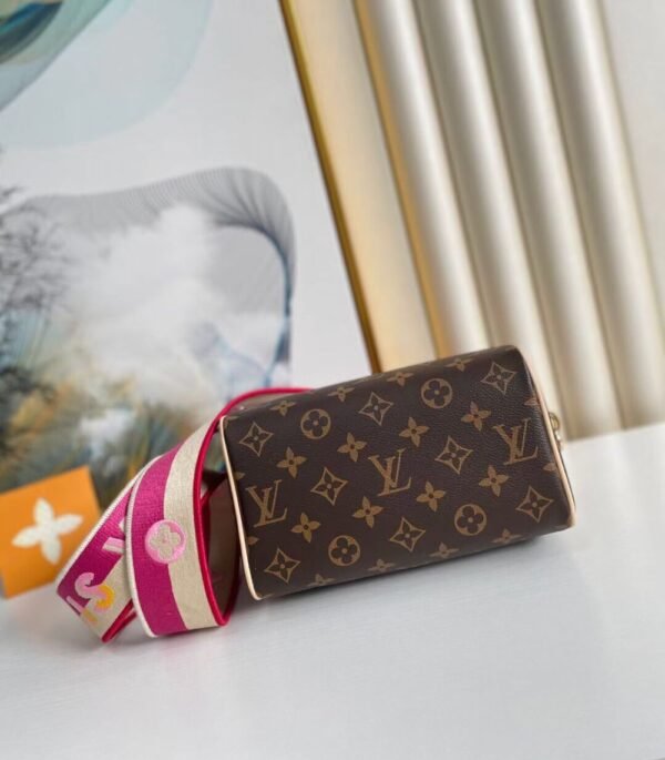 Louis Vuitton Bag SPEEDY M45948