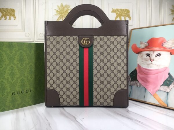 Gucci bag Ophidia 547941
