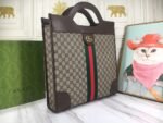 Gucci bag Ophidia 547941