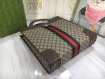 Gucci bag Ophidia 547941