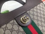 Gucci bag Ophidia 547941