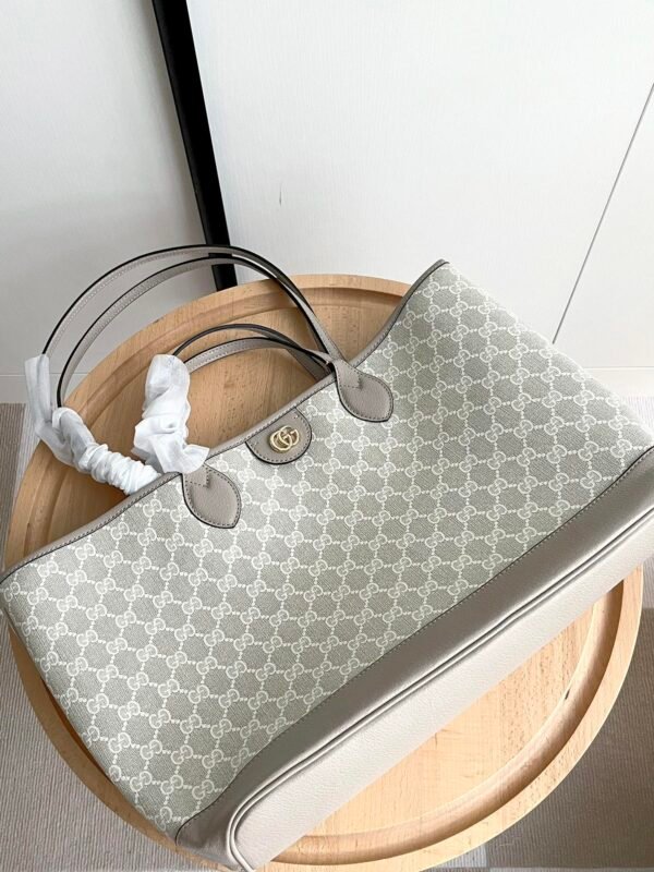 Gucci bag Ophidia 739730