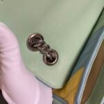 Gucci bag GG marmont 443497 Color