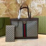 Gucci bag Ophidia 547947