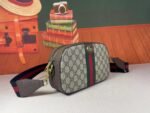 Gucci bag GG Ophidia 752591