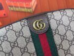 Gucci bag GG Ophidia 752591