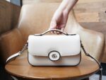 Gucci bag GG Petite GG 739722