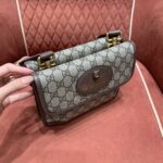 Gucci bag GG Supreme 501050