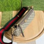 Gucci bag Ophidia 735132