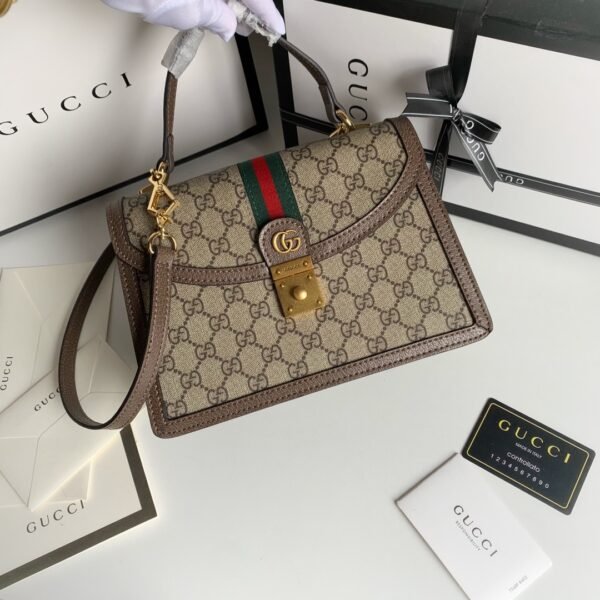 Gucci bag Ophidia 651055