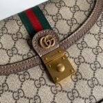 Gucci bag Ophidia 651055