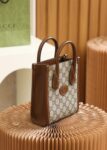 Gucci bag Tote Mini 671623