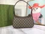 Gucci bag GG Ophidia 735145 Brown