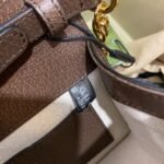 Gucci bag GG Supreme Ophidia mini shoulder bag 696180 Brown