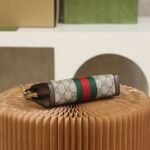 Gucci bag GG  Ophida Mini 602676