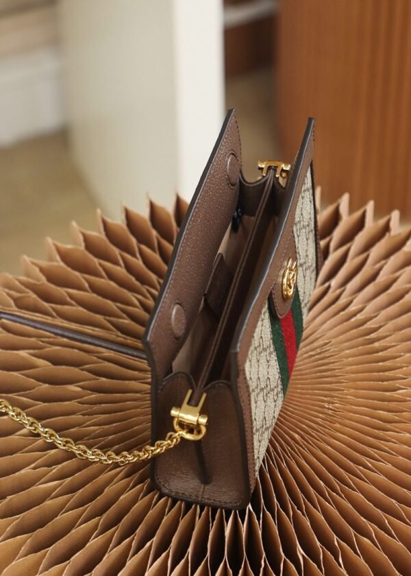 Gucci bag GG  Ophida Mini 602676