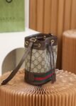 Gucci Bag Ophidia Small Bucket Bag 550620