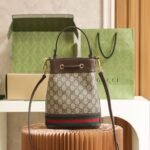 Gucci Bag Ophidia Small Bucket Bag 550621