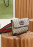 Gucci bag Totem GG Superme 493930