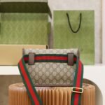 Gucci bag Totem GG Superme 493930