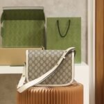 Gucci bag Horsebit 1955 602204 White