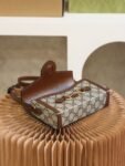 Gucci Bag 1955 Mini 699296