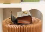 Gucci Bag Padlock 409487