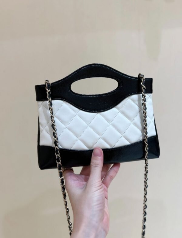 Chanel Bag 24S 31Bag Nano AP3656