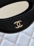 Chanel Bag 24S 31Bag Nano AP3656