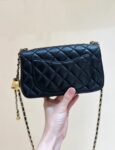 Chanel Bag  24K  AS1786 AS1787