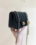 Chanel Bag  24K  AS1786  AS1787