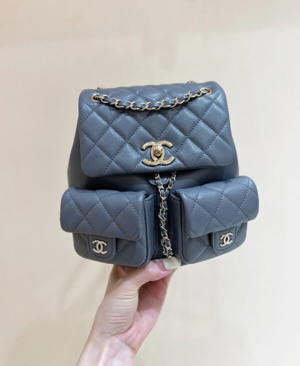 Chanel Bag Duma 24A  3787 3860 Grey