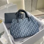 Dior Bag Denim  Toujours  Middle