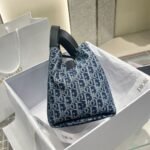 Dior Bag Denim  Toujours  Middle