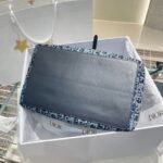 Dior Bag Denim  Toujours  Middle
