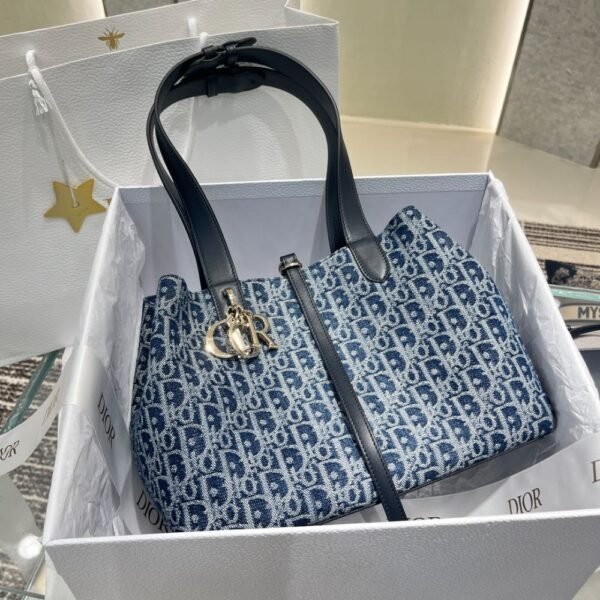 Dior Bag Denim  Toujours  Middle