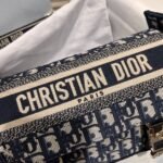 Dior Bag Diorcamp 23*15*8cm
