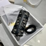 Dior Bag Groove 16 navo 16*11*8