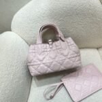 Dior Bag Toujours 23*14*12cm Purple