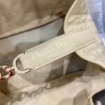 Dior Bag Toujours 23*14*12cm Cream