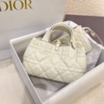 Dior Bag Toujours 23*14*12cm White